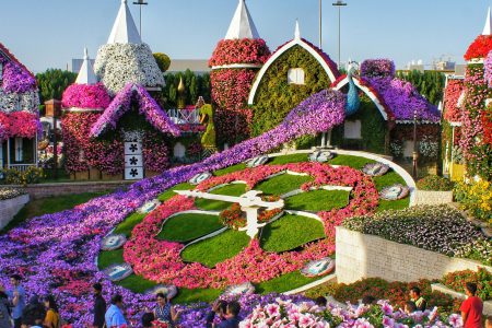 miracle garden