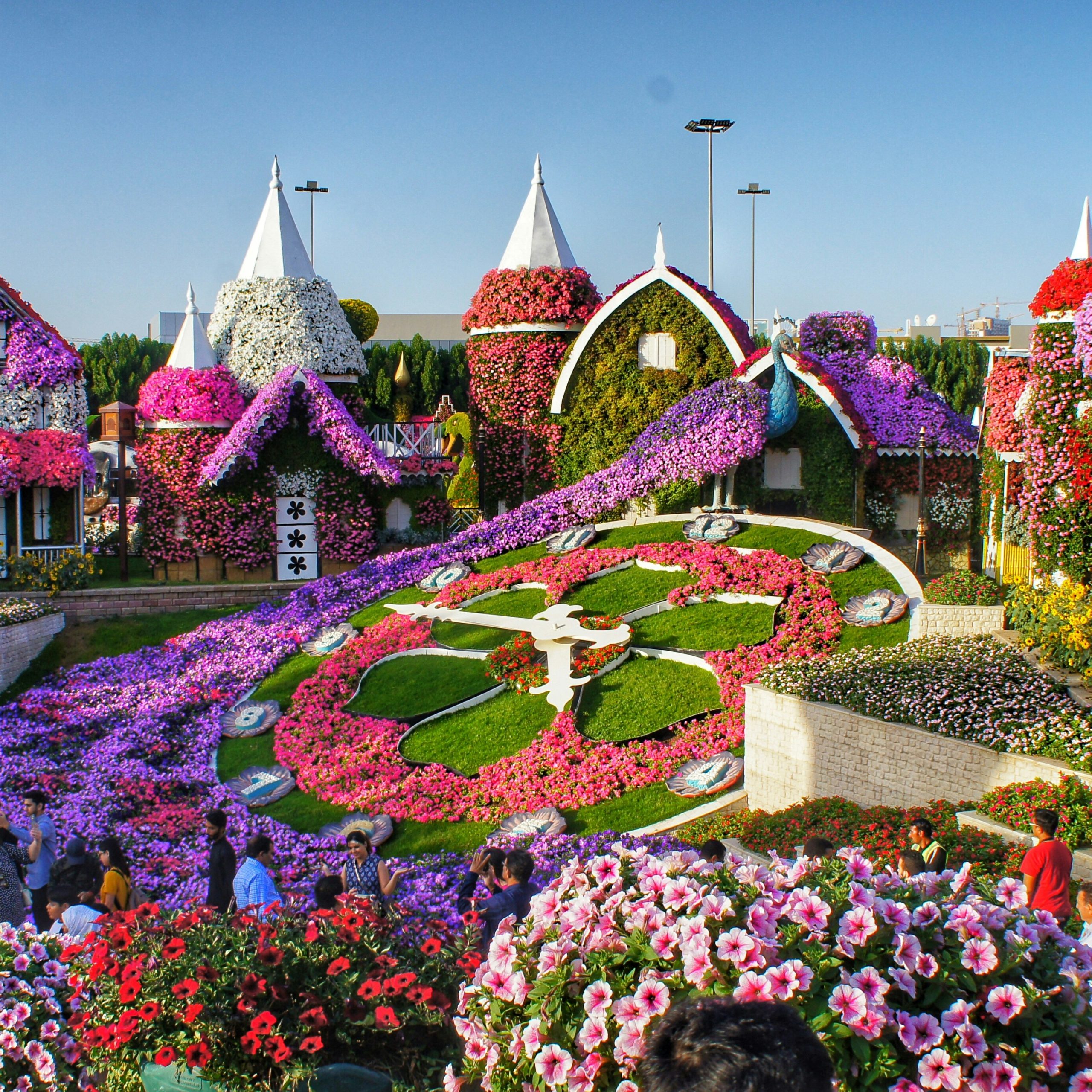 miracle garden